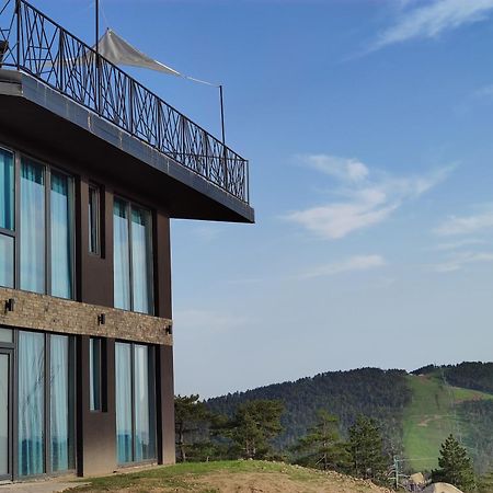 Vila Onyx Divčibare Extérieur photo